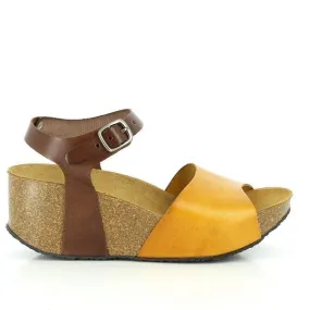 Plakton 273104 Mustard & Brown Wedges