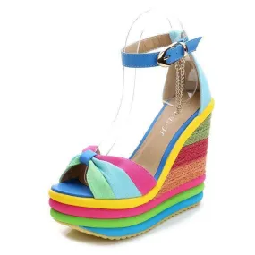 Rainbow Wedges
